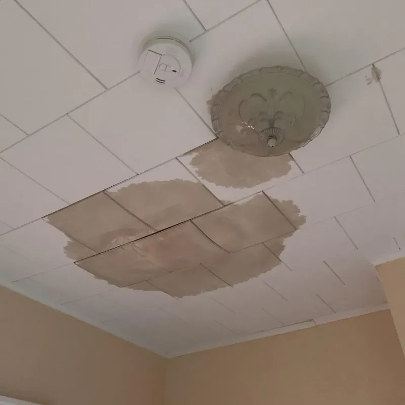 Ceiling Water Damage Repair in Prospect Heights, IL